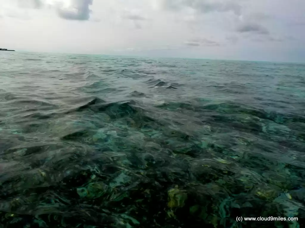 Photo of Shipwreck Snorkeling