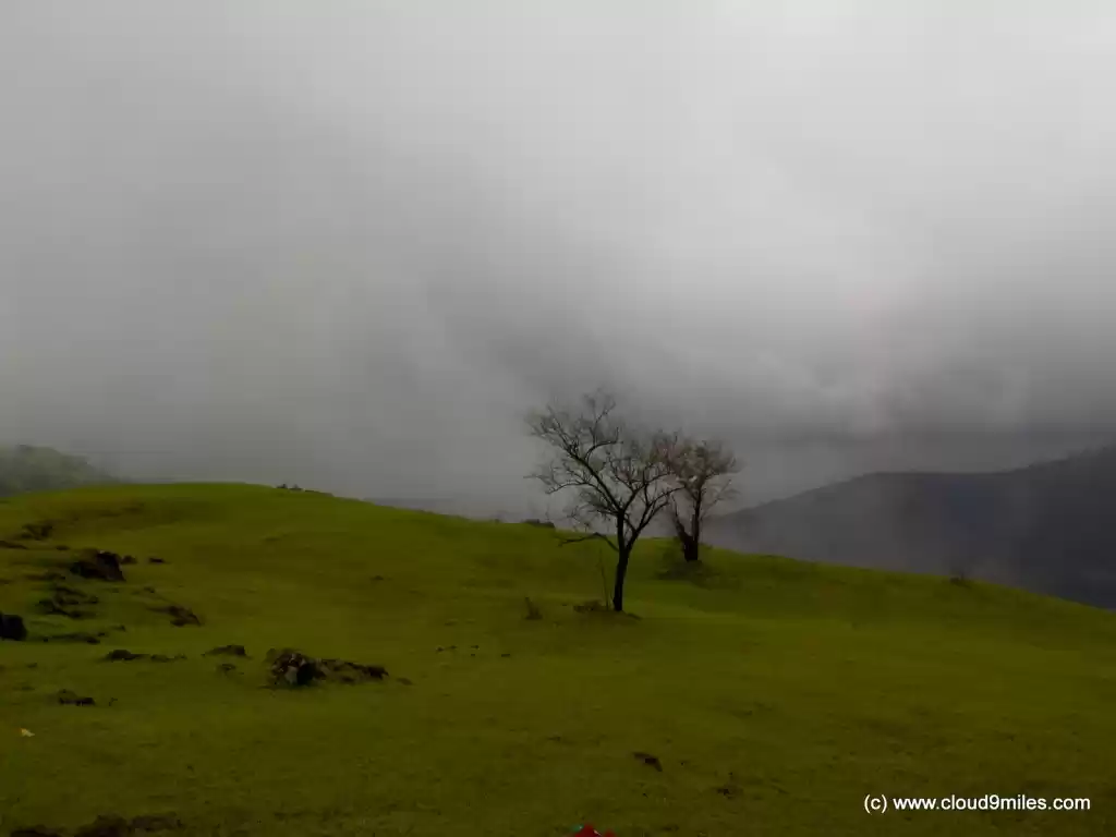 Photo of A Trek to Garbett Pl