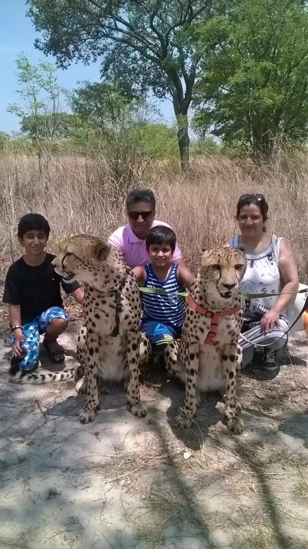 Photo of Animal =Africa