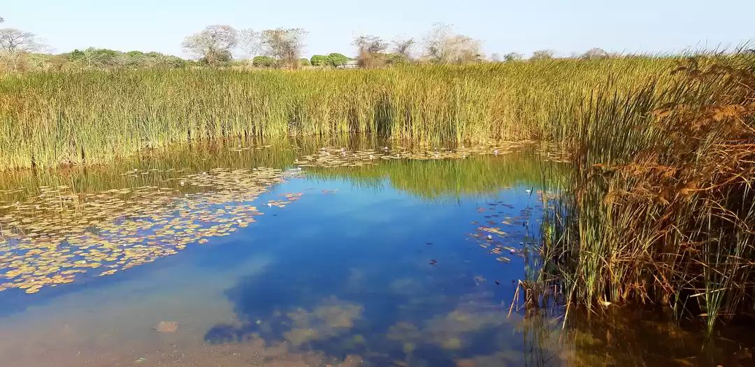 Photo of Kundalila falls, Zam