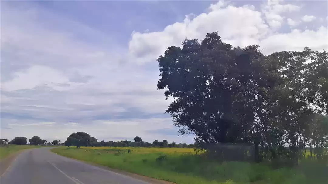 Photo of For a bump free road