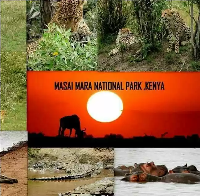 Photo of My visit to Masai Ma