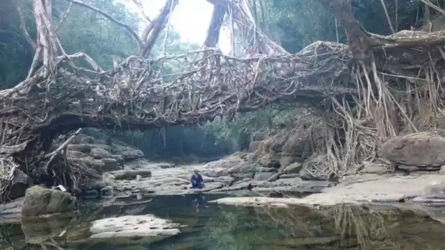 Photo of मेघालय - शिलोंग , स्