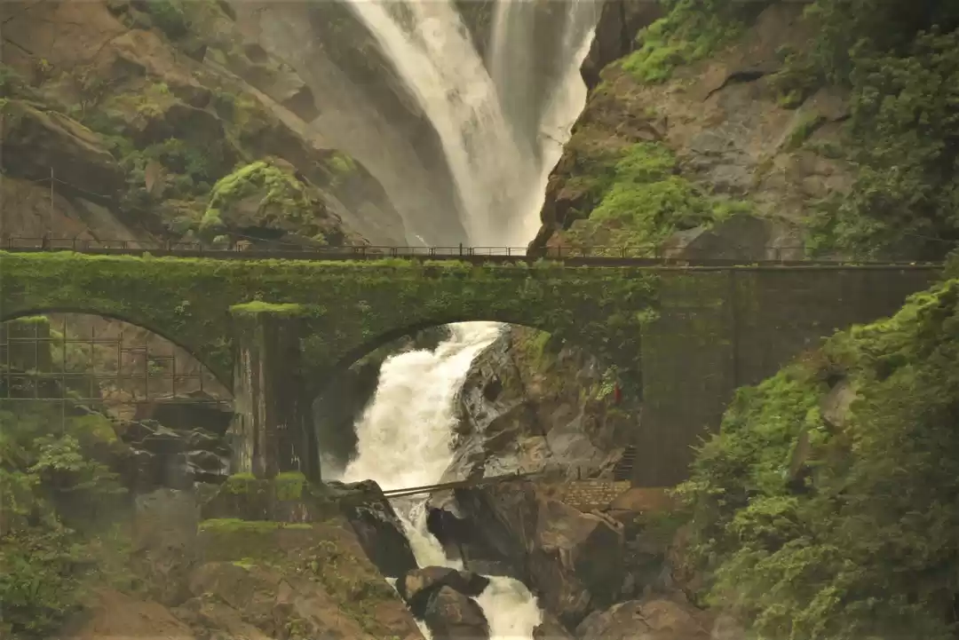 Photo of Dudhsagar falls: Roa