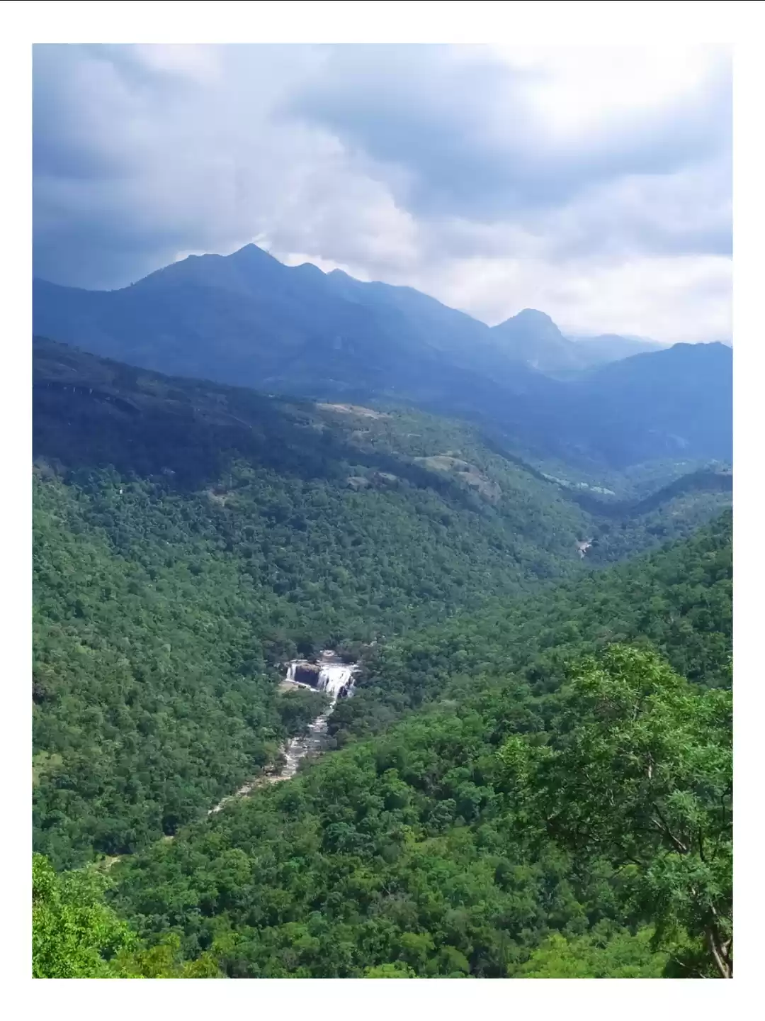 Photo of Mighty Beauty-Munnar
