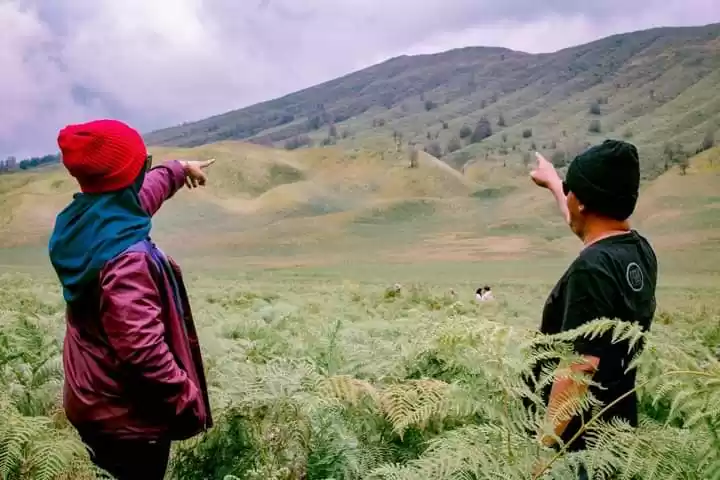 Photo of Some interesting pla