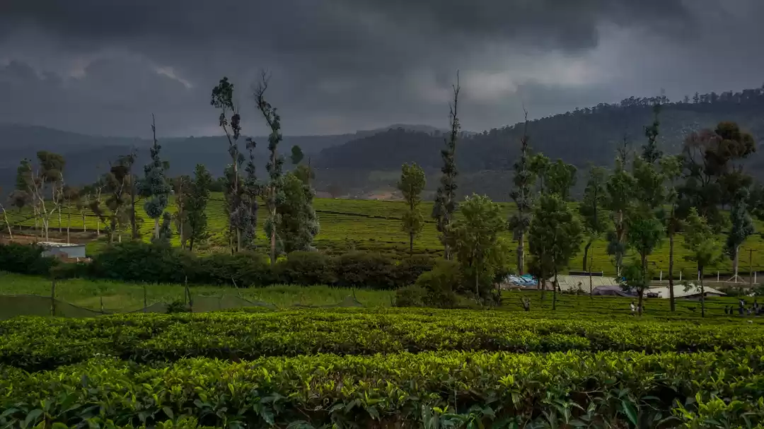 Photo of Coonoor -nilgiri hil