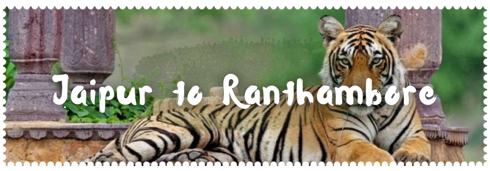 Photo of Jaipur to Ranthambor