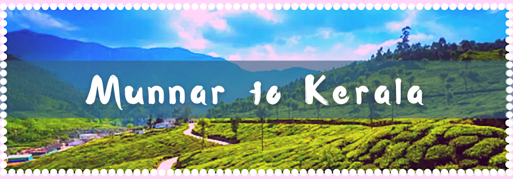 Photo of Munnar to Kerala