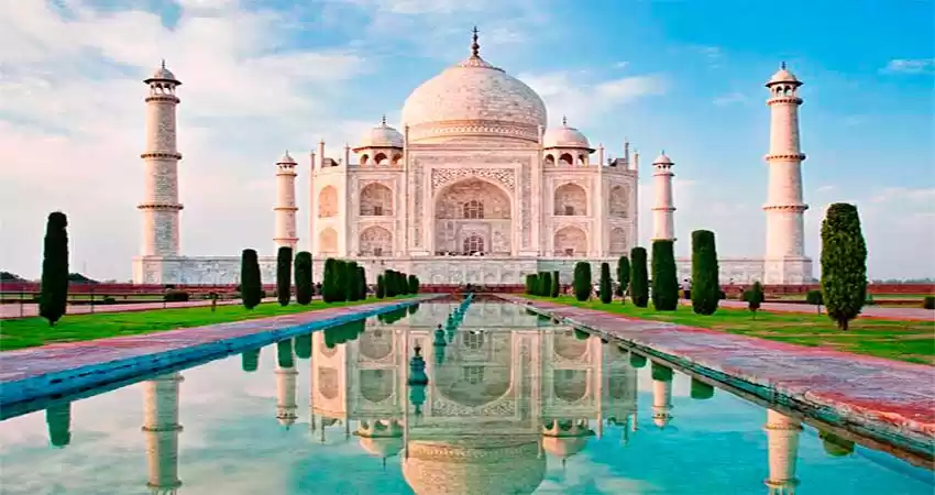 Photo of Miracle of India - T