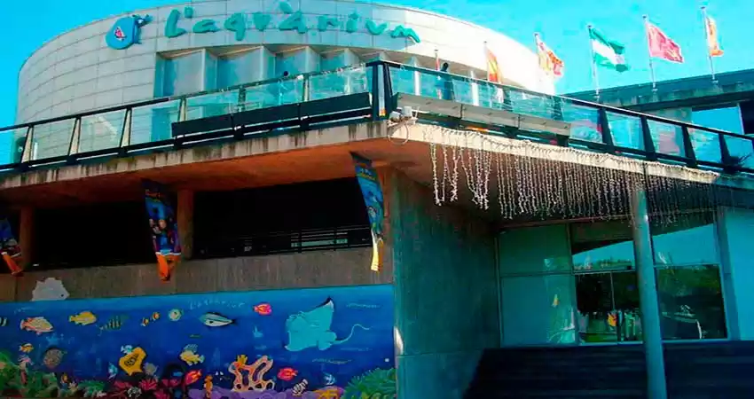 Photo of An unforgettable tri