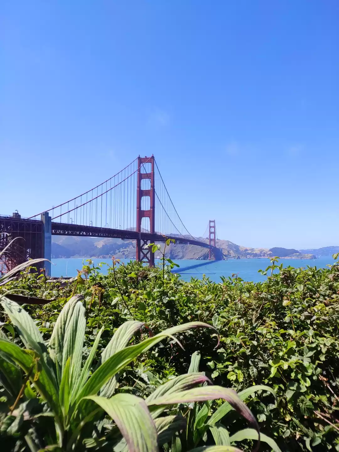 Photo of Golden gate bridge �