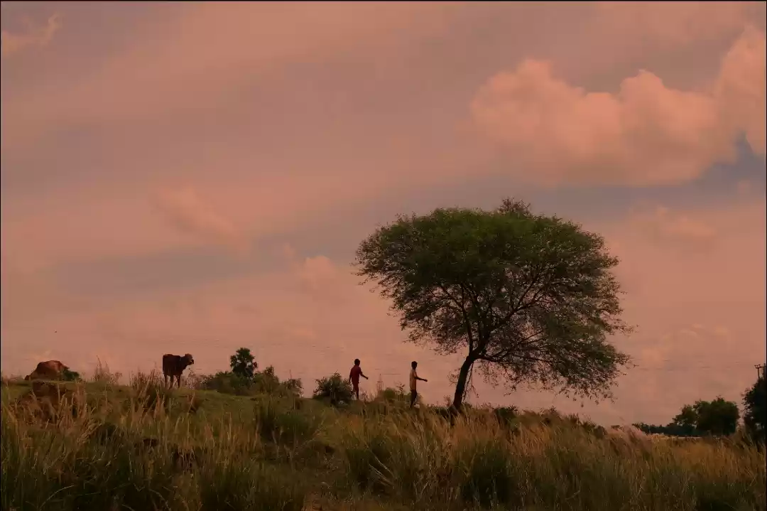 Photo of Warm Welcome 