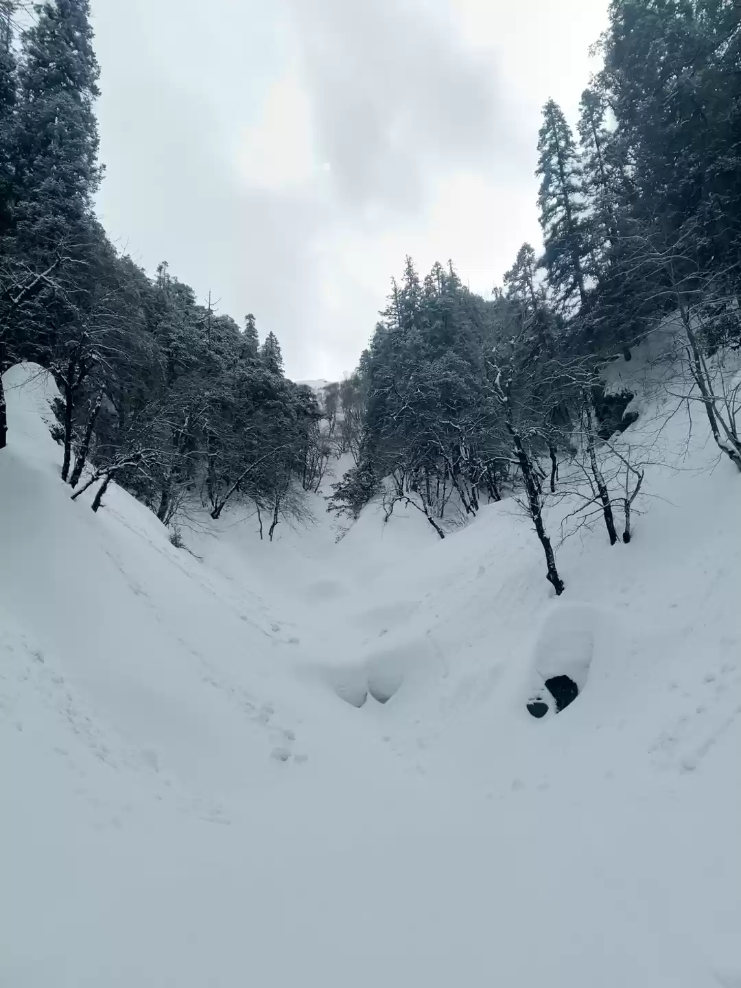 Photo of Jalori pass की कहान
