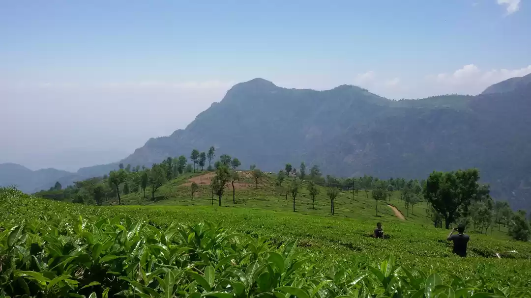 Photo of उटी हिल स्टेशन Day 3