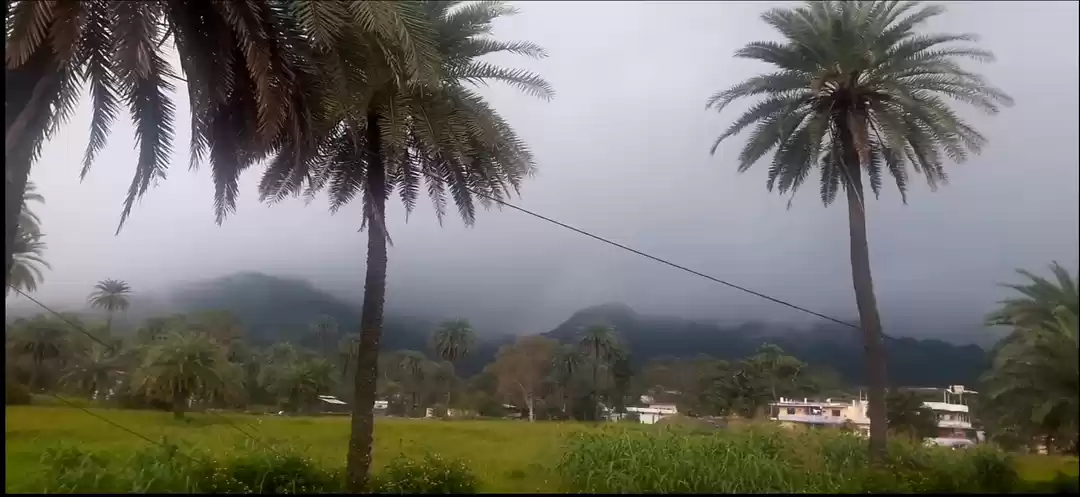 Photo of माउंट आबू [ राजस्था