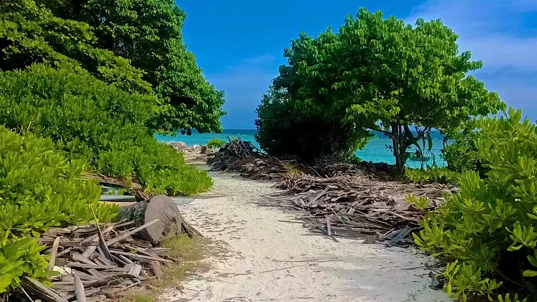 Photo of The Ultimate Dive Ad