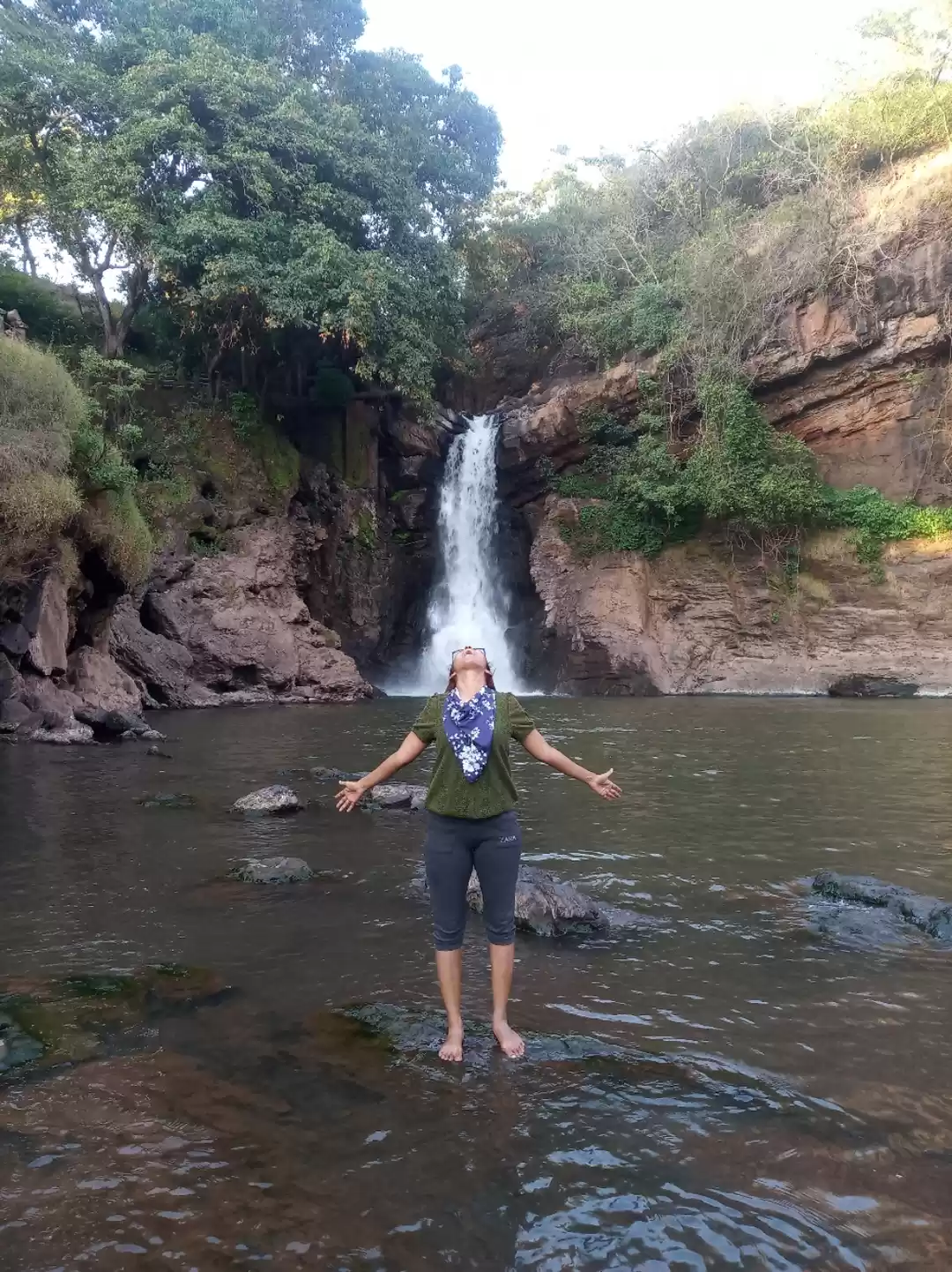 Photo of Harvalem (arvalem) w