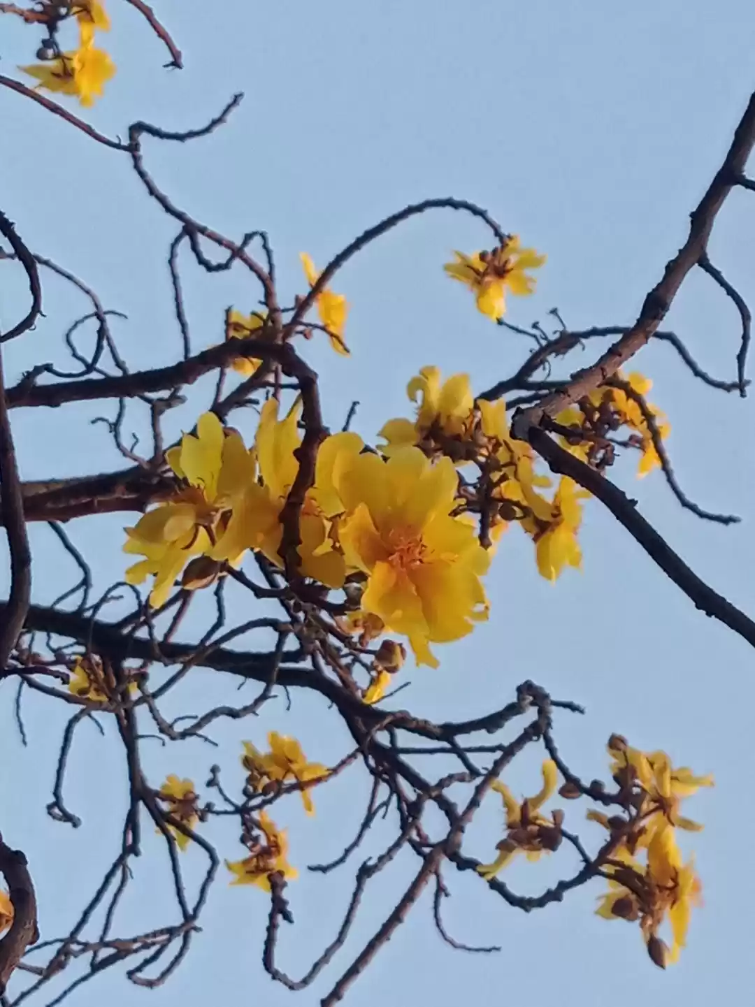 Photo of Captured the moments