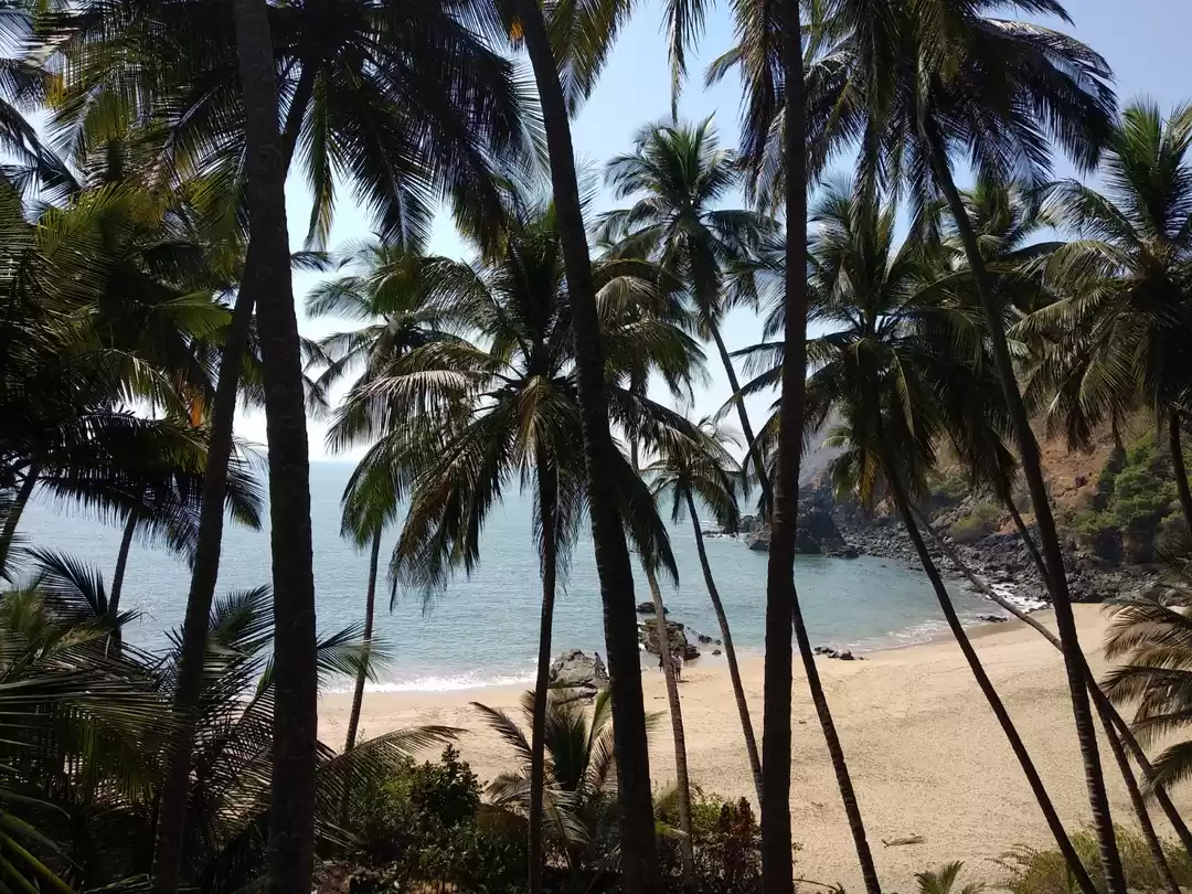 Photo of The Goa Trip ~ An In