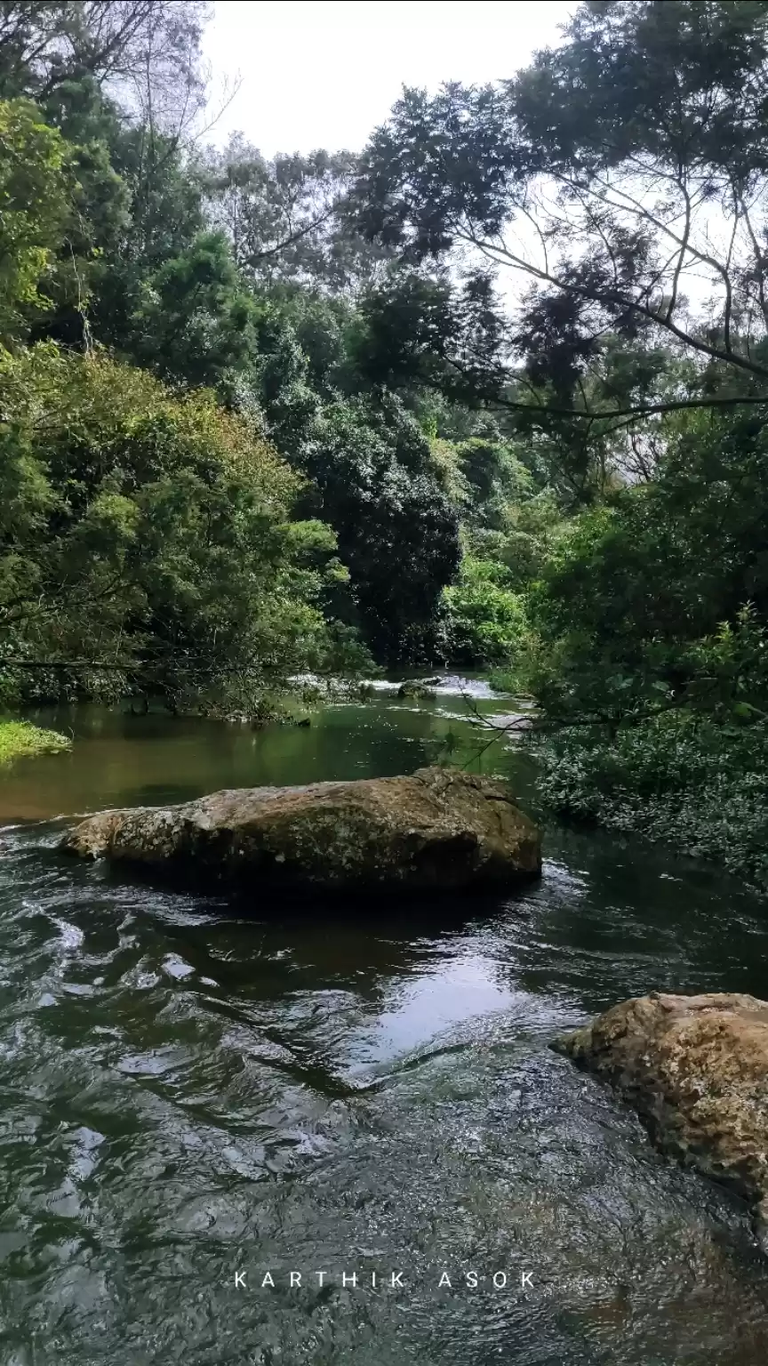Photo of Nilgiris ~ Sundatty 