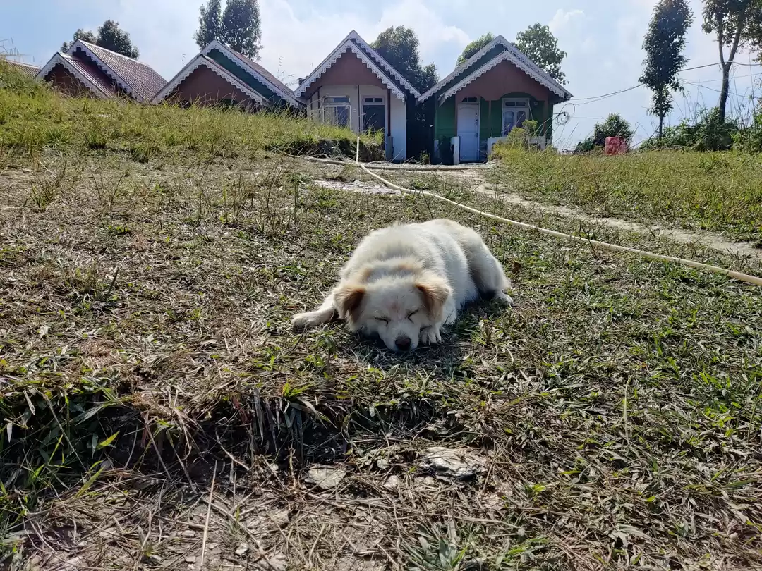 Photo of Ahaldara -The hidden