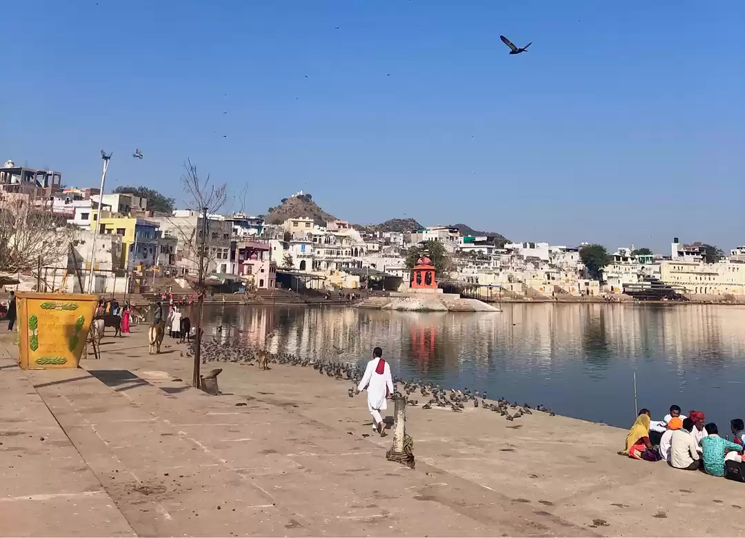 Photo of Road trip from Delhi