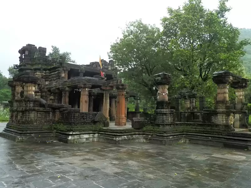 Photo of Polo Forest – A Hist