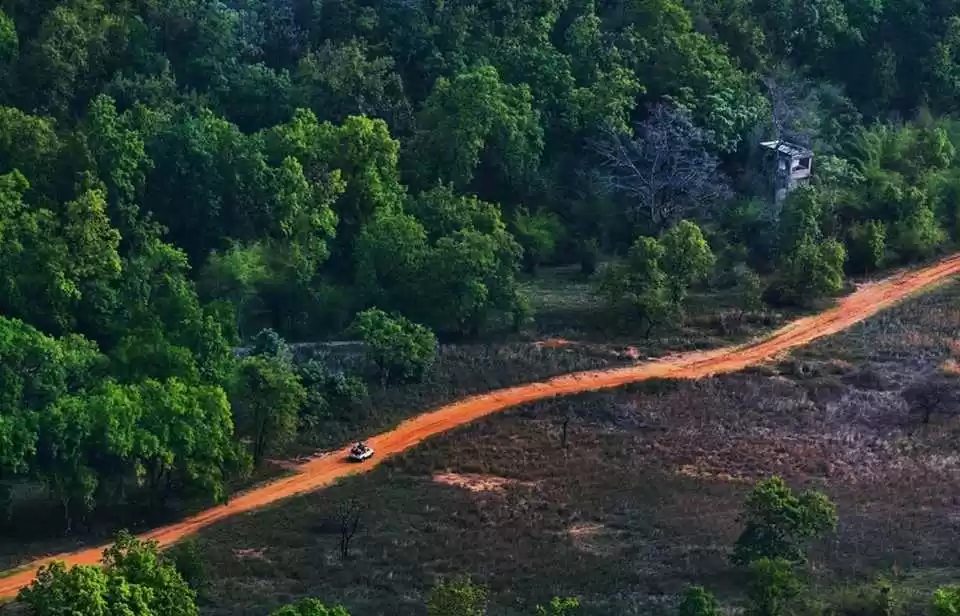 Photo of ভারতের এই তিনটে জঙ্গ