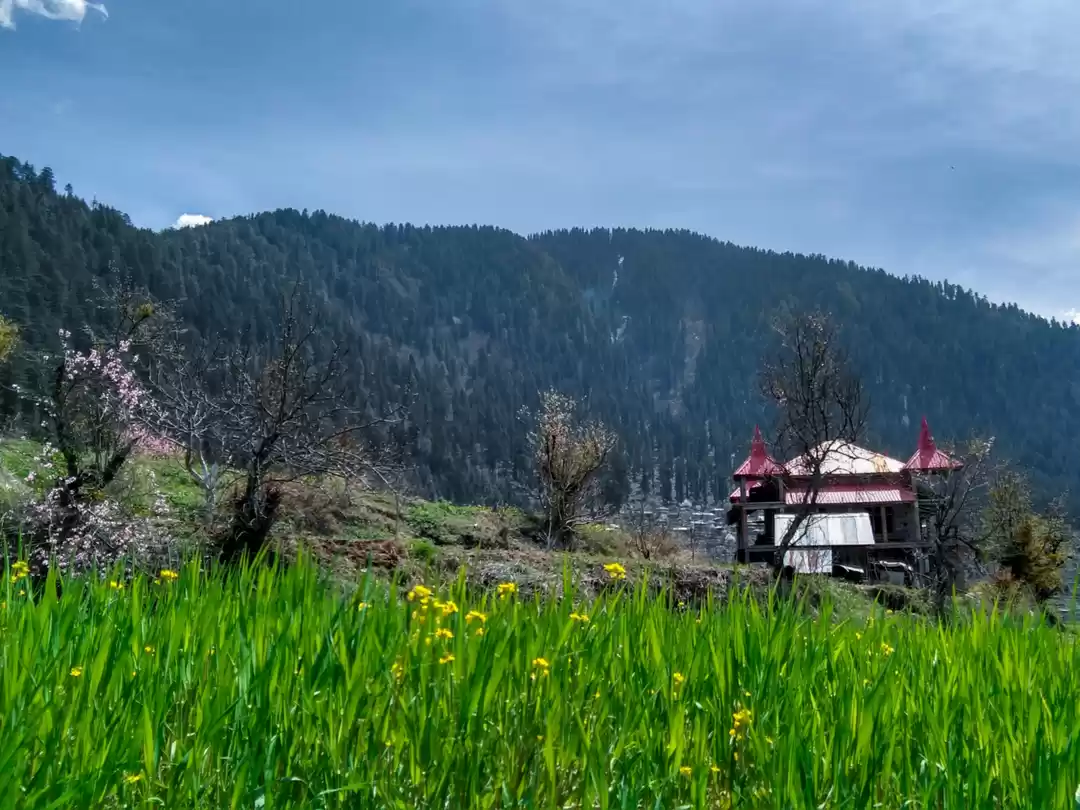 Photo of Sainj Valley - Kullu
