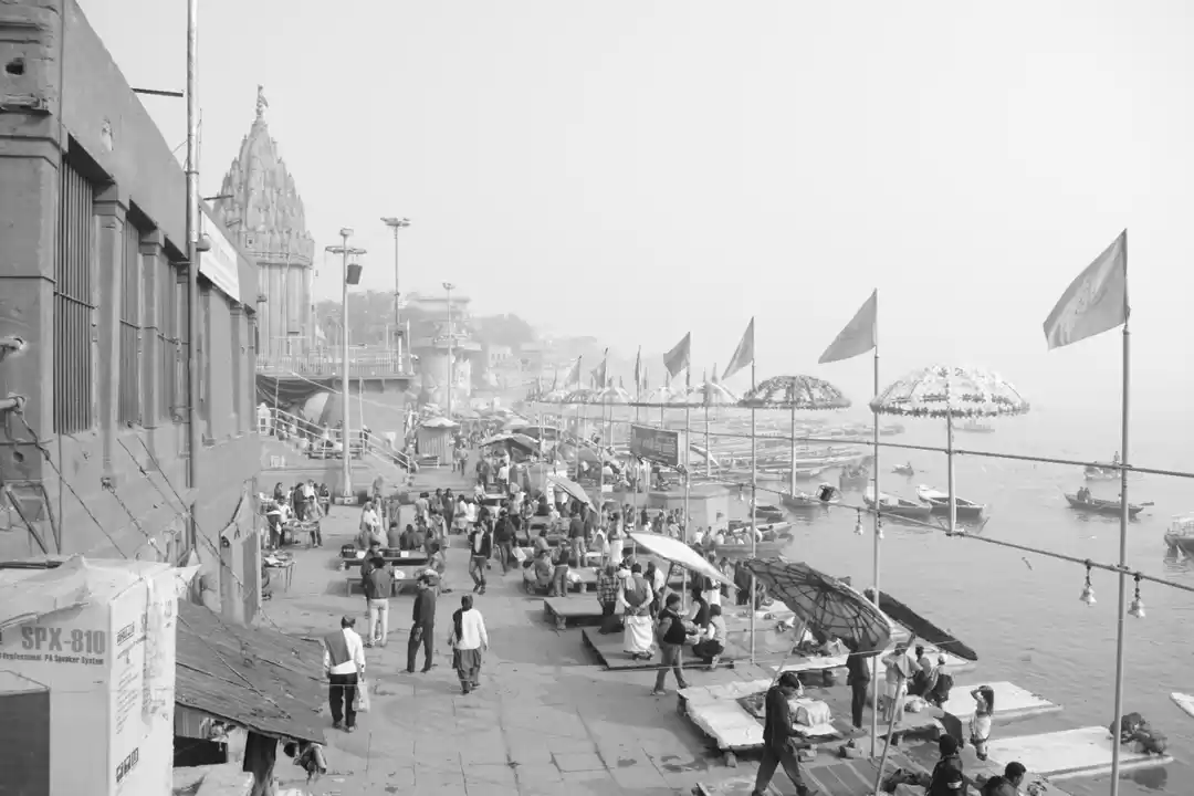 Photo of Going Solo??? Serio