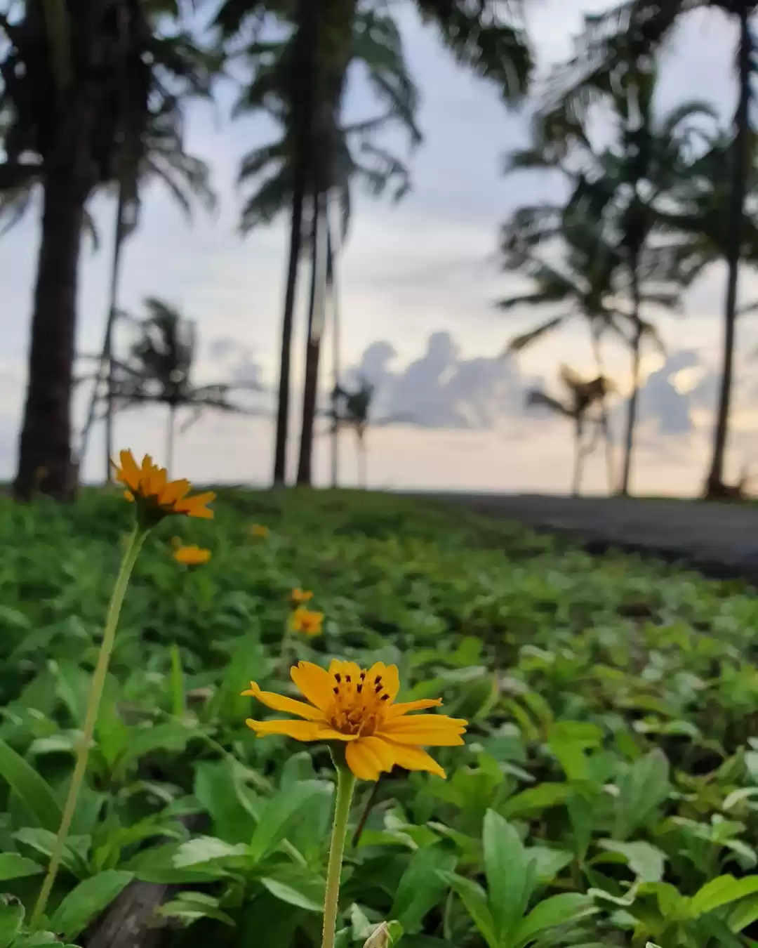 Photo of Kapil Beach,Kasarago