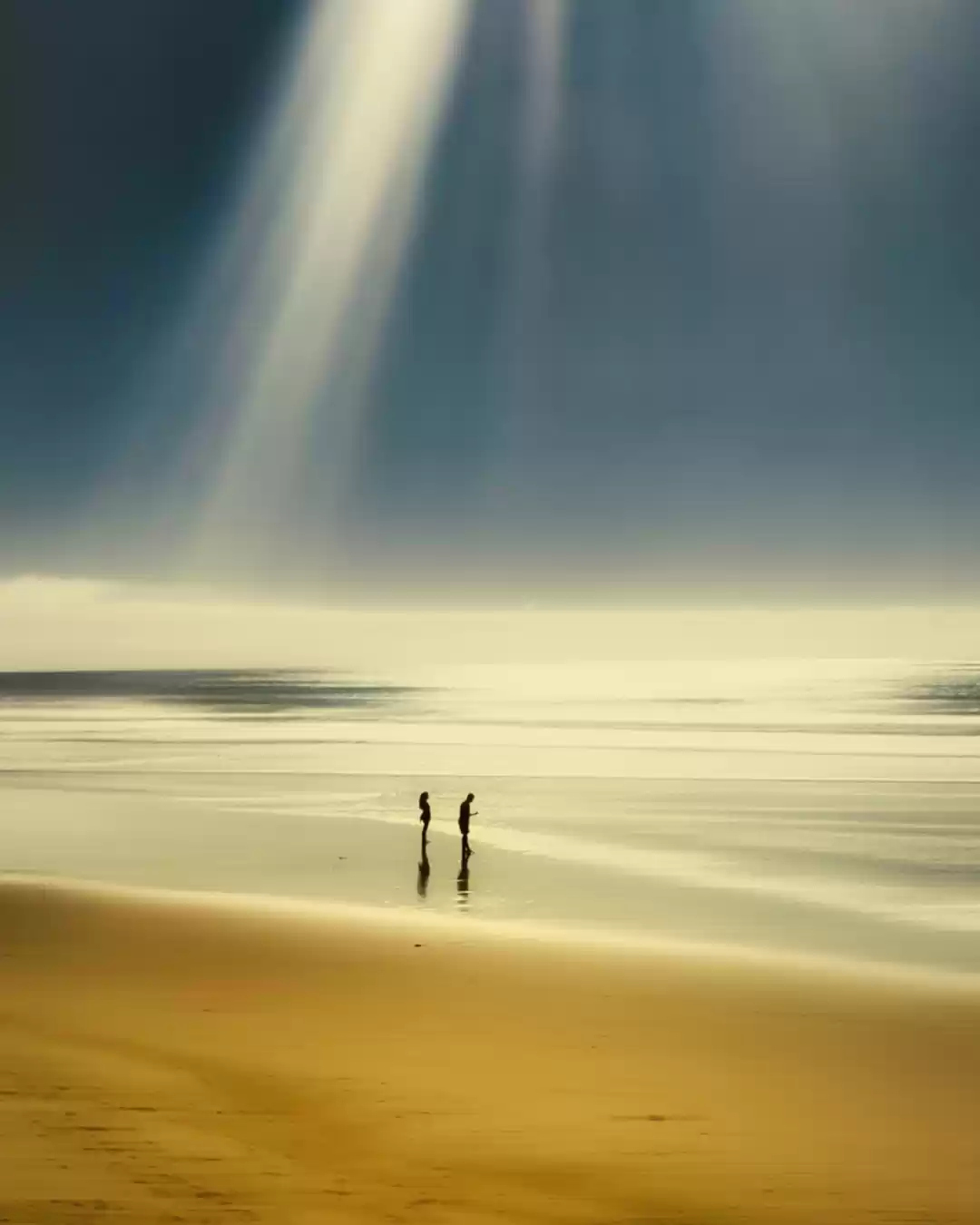 Photo of Minimal shots from t