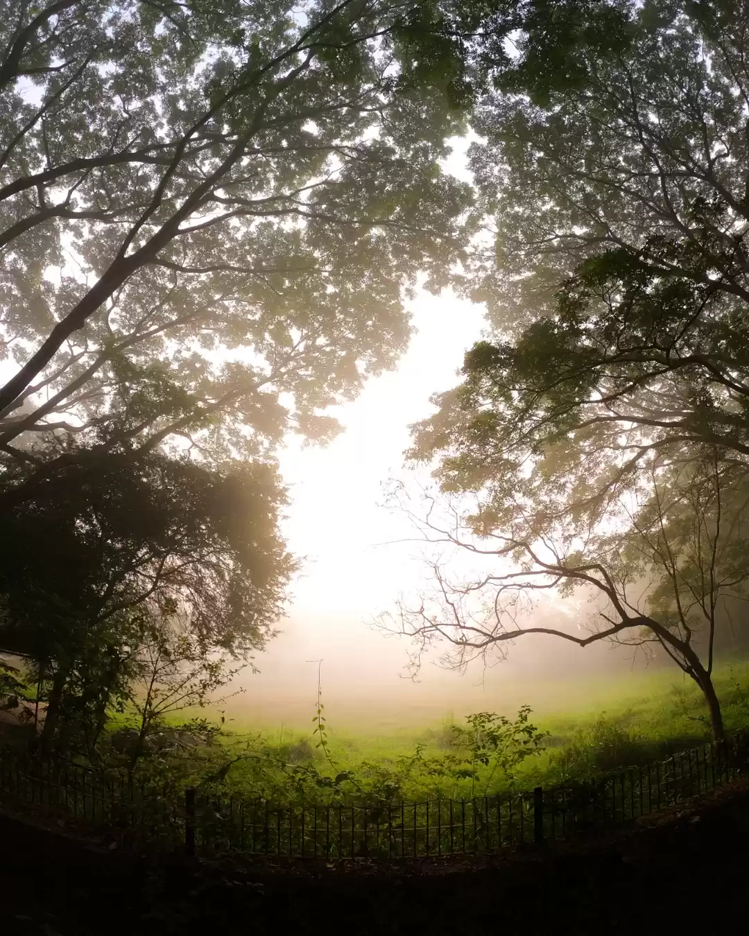 Photo of Khadakwasla dam morn