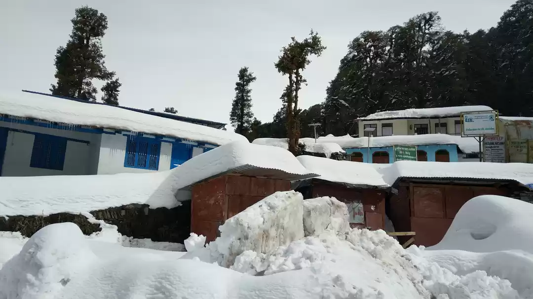 Photo of THE INCOMPLETE TRIP 