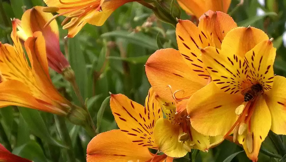 Photo of Hill stations near B