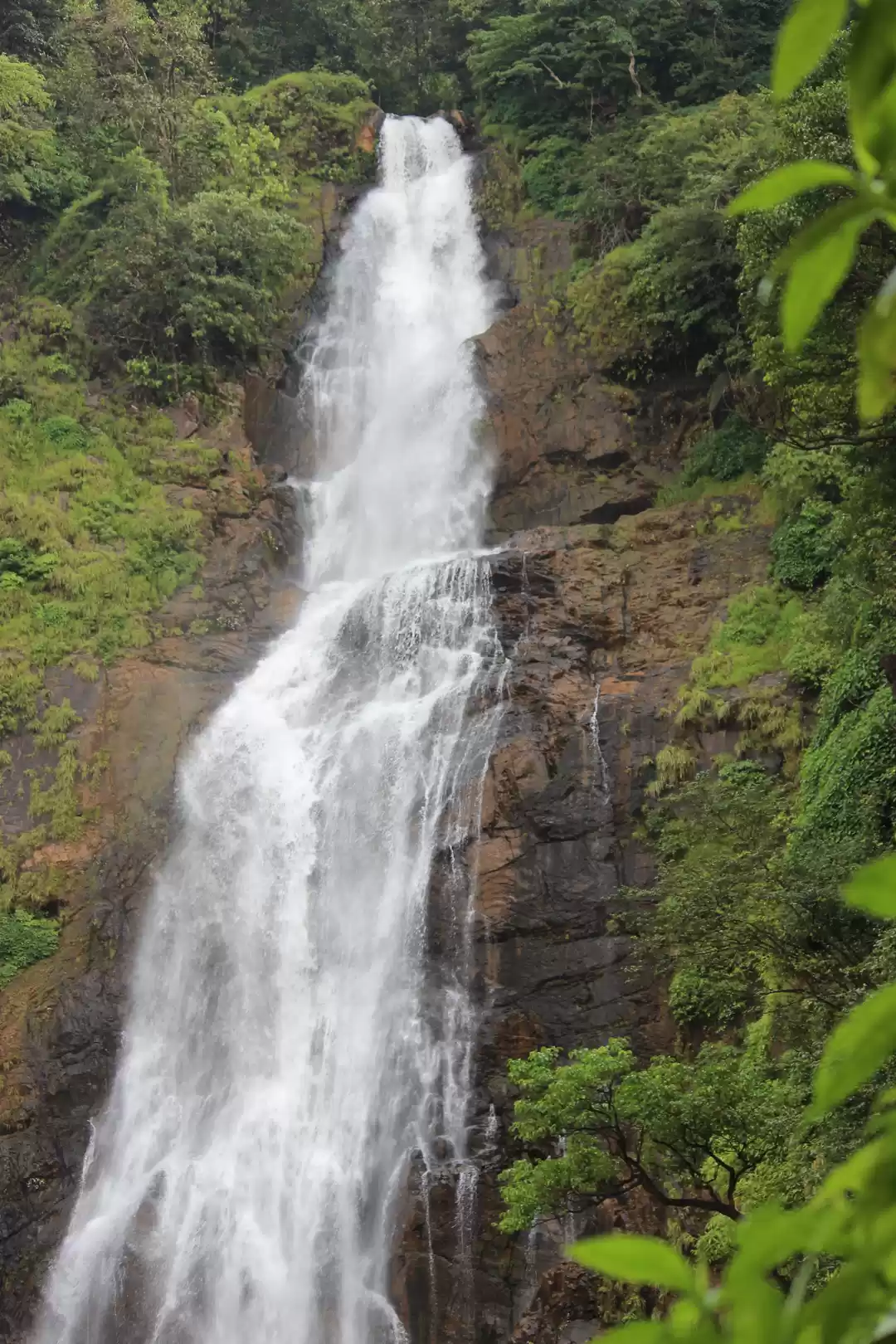 Photo of The dubious trails o