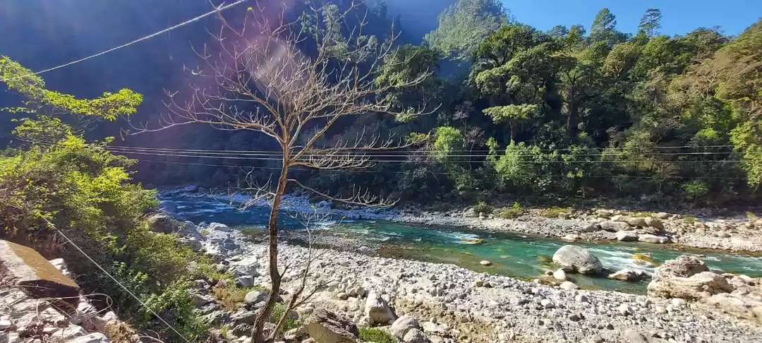 Photo of कोरोना और घूमना 