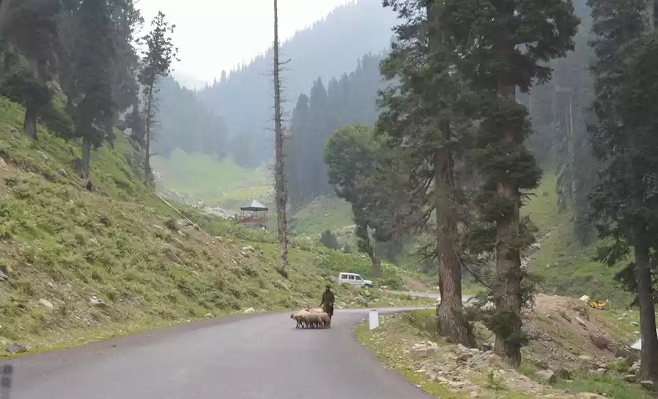 Photo of Kashmir , By chance!