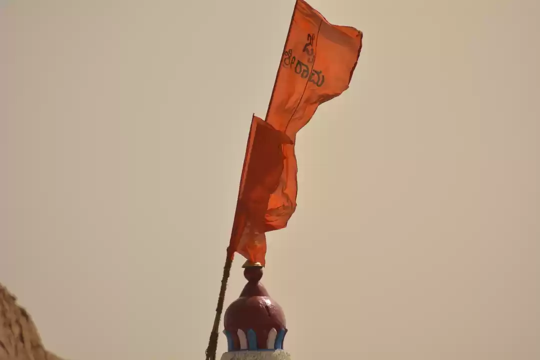 Photo of Humpi!!!---Perfect t