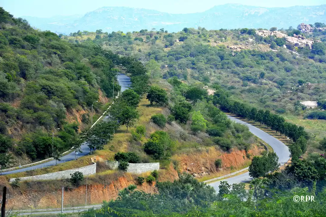 Photo of Weekend Gateway Sang