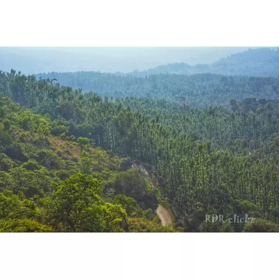 Photo of Chikmagalur - Mullay