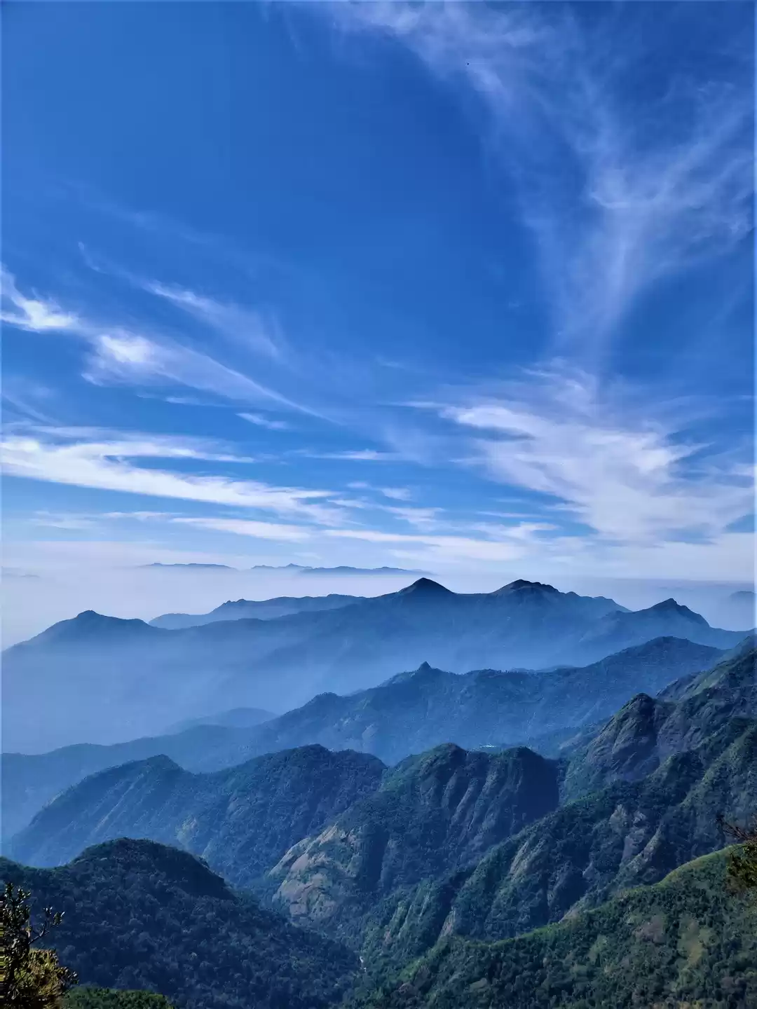 Photo of Bangalore - Kodaikan