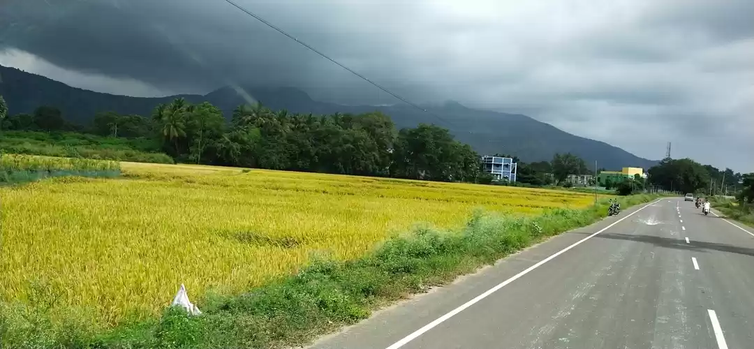 Photo of Agriculture lands