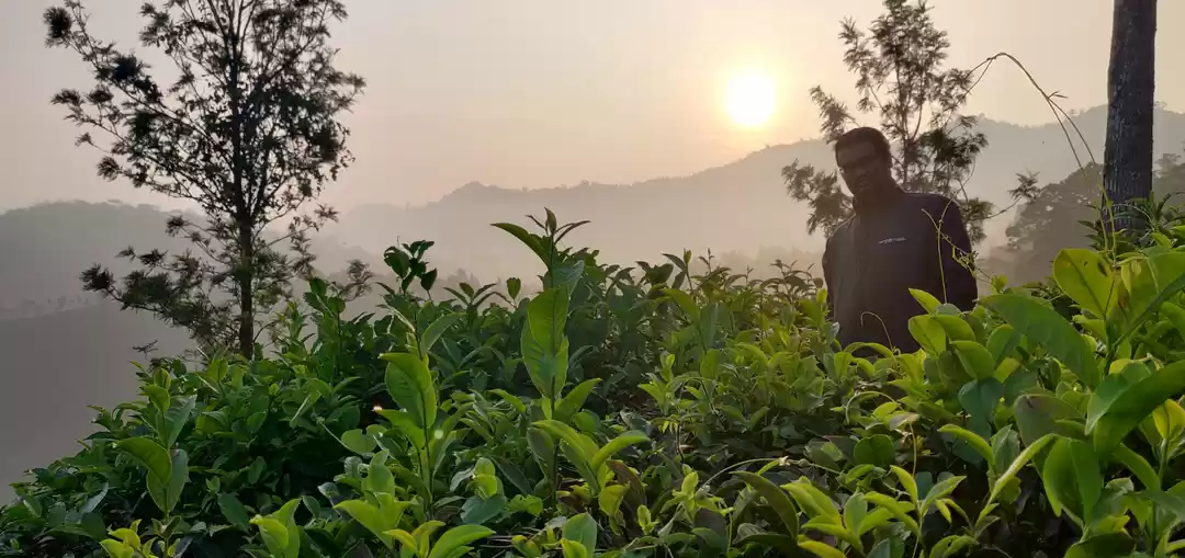 Photo of A small ride to Chem