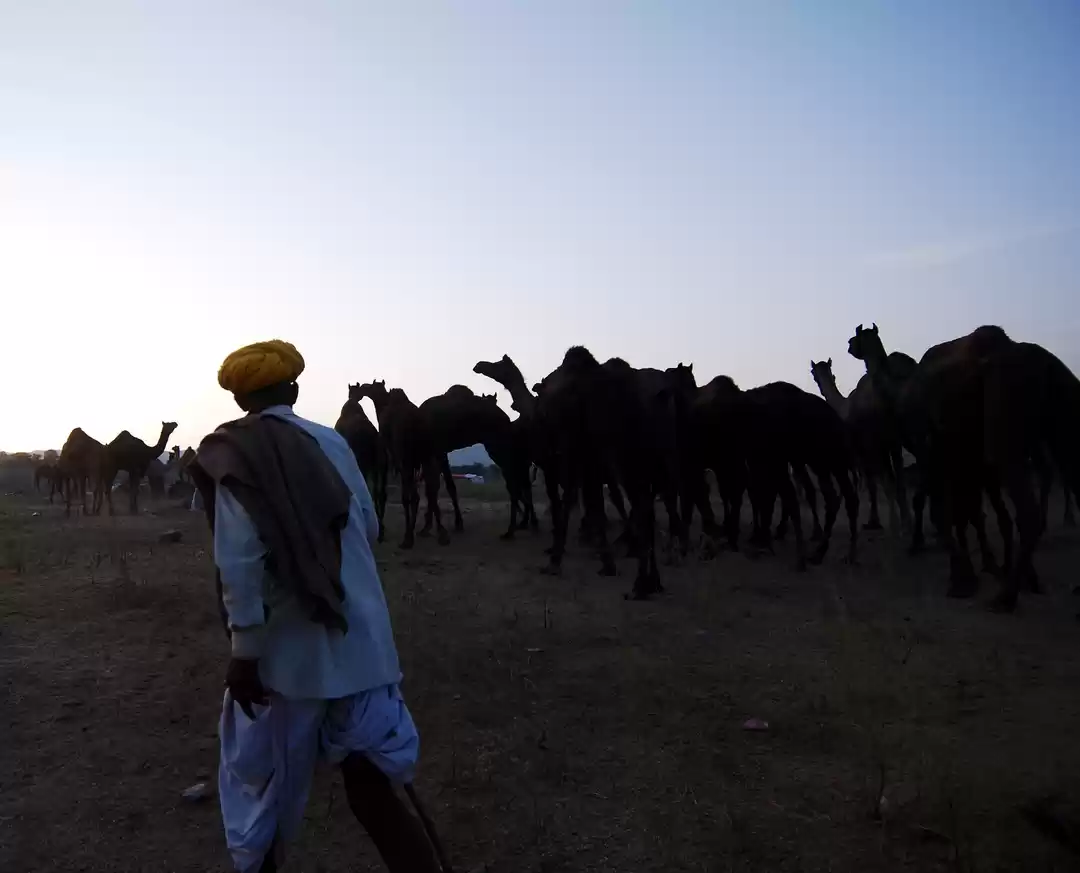 Photo of Magnetic and Enigmat