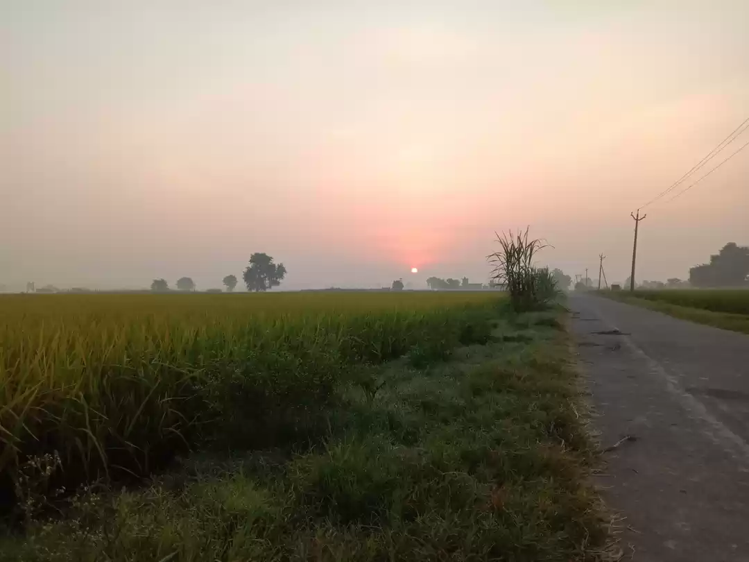 Photo of Early morning