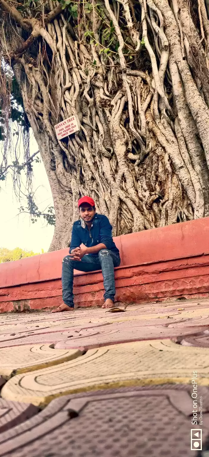 Photo of #Old banyan tree