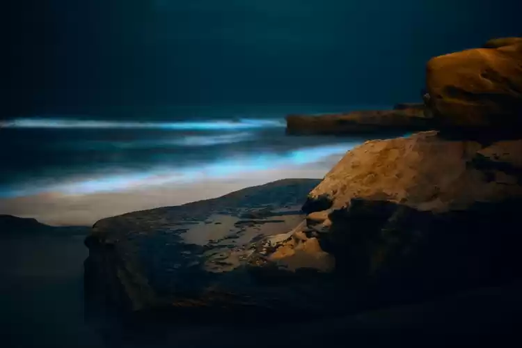 Photo of A Visit to the Glowi
