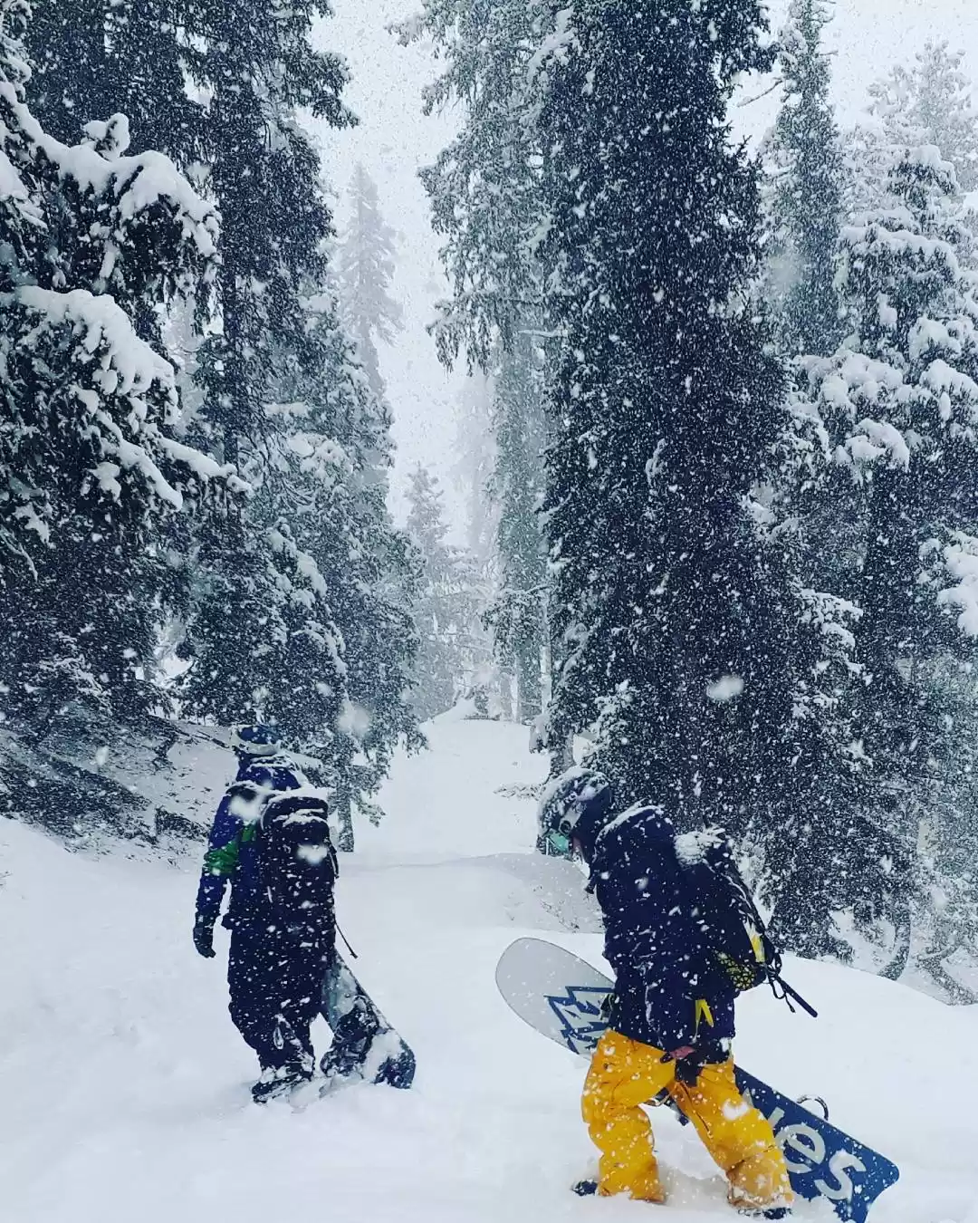 Photo of Himalayan Ski Guides 